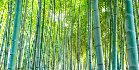 Is a bamboo bath or shower mat a good idea?